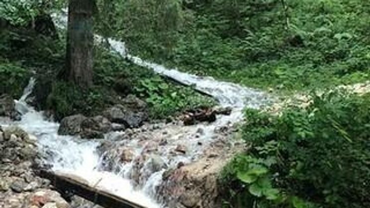 Hochbahnweg-zerstoert-Nationalpark-Berchtesgaden_320x320-ID95803-8bb275617c73fc4d45d309844dbb4eb5