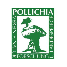 Pollichica