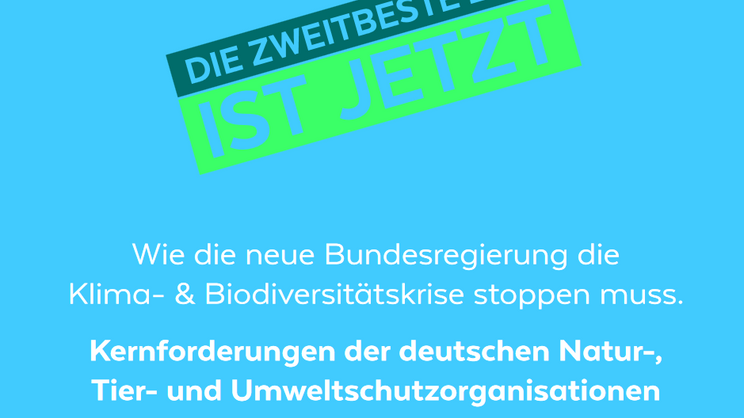 Screenshot-2021-DNR_Kernforderungen_zur_Bundestagswahl-pdf