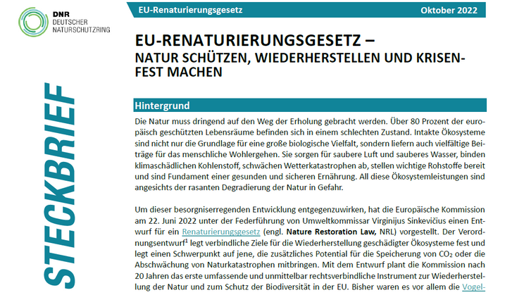 Screenshot vom Titelblatt des DNR-Steckbriefs zum EU-Renaturierungsgesetz