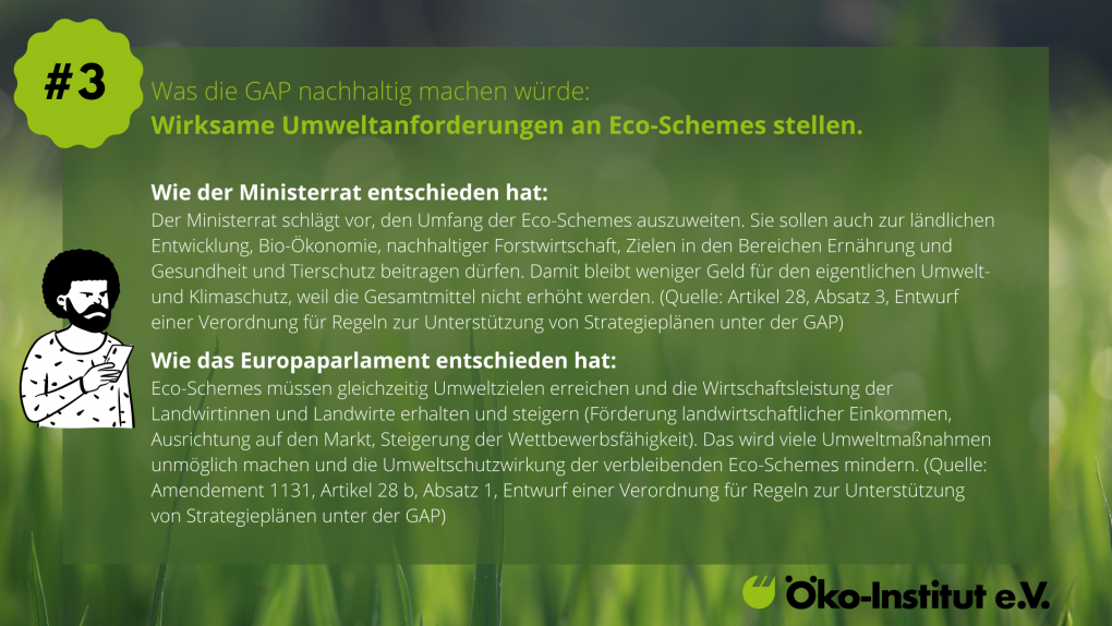 3-GAP-nachhaltig-EcoSchemes-Umweltanforderungen-1020x574